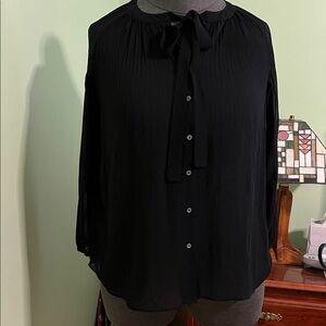 Elegant Sheer Black Women's Top